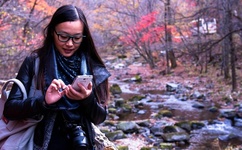 富贵在天主题曲